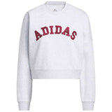 Sudadera Adidas Chenille Logo Graphic "Light Grey Heather"