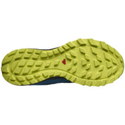 Zapatillas Salomon Trailster 2 Gtx Lyons