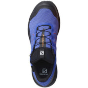 Zapatillas Salomon Pulsar Trail Gtx Dazzling