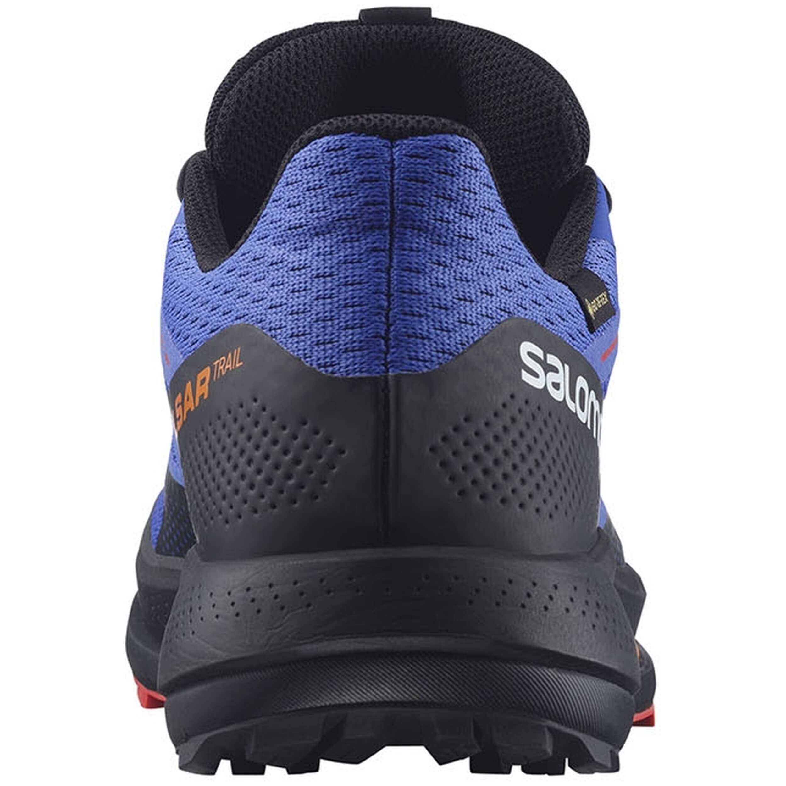 Zapatillas Salomon Pulsar Trail Gtx Dazzling