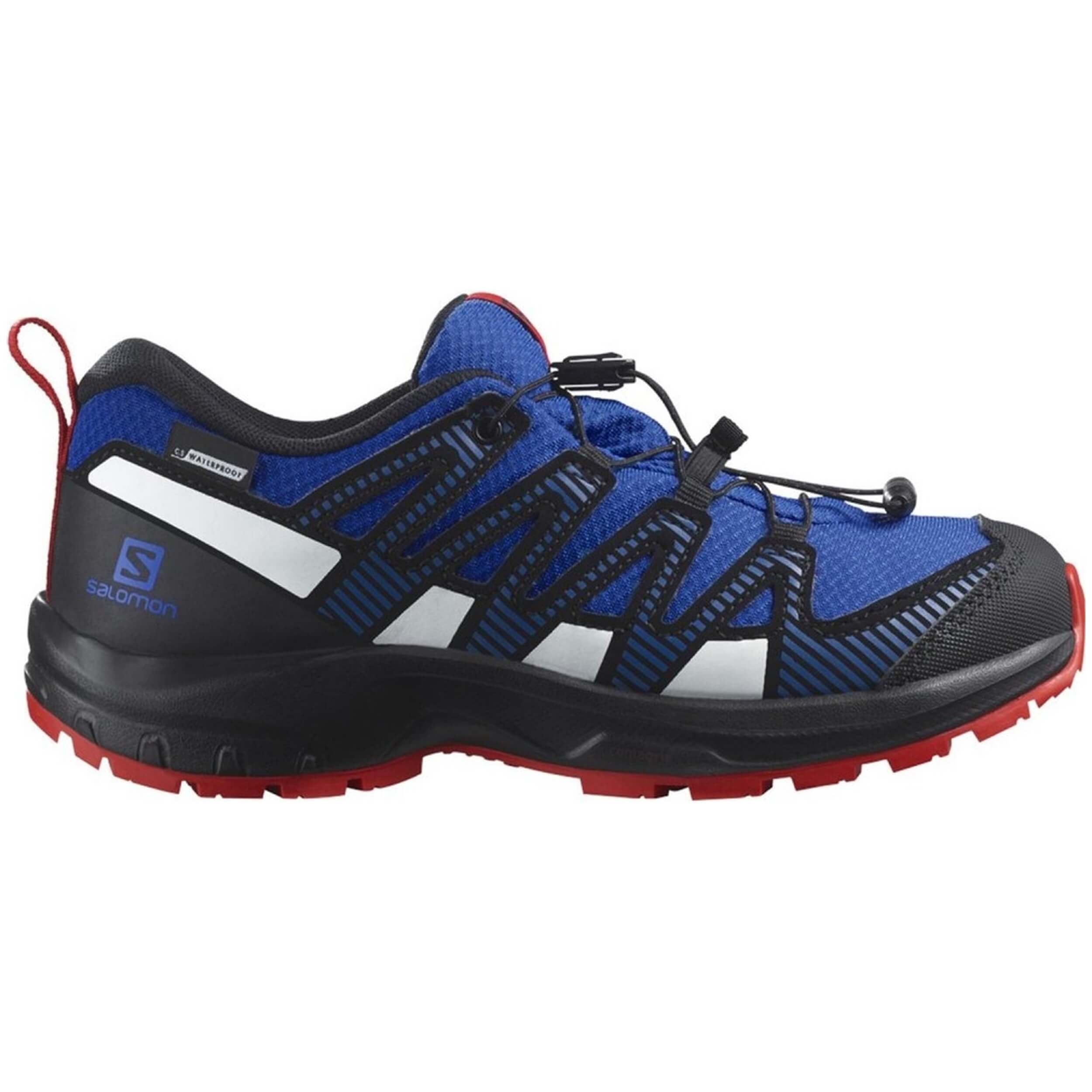 Zapatillas De Trekking Salomon Xa Pro V8 Cswp