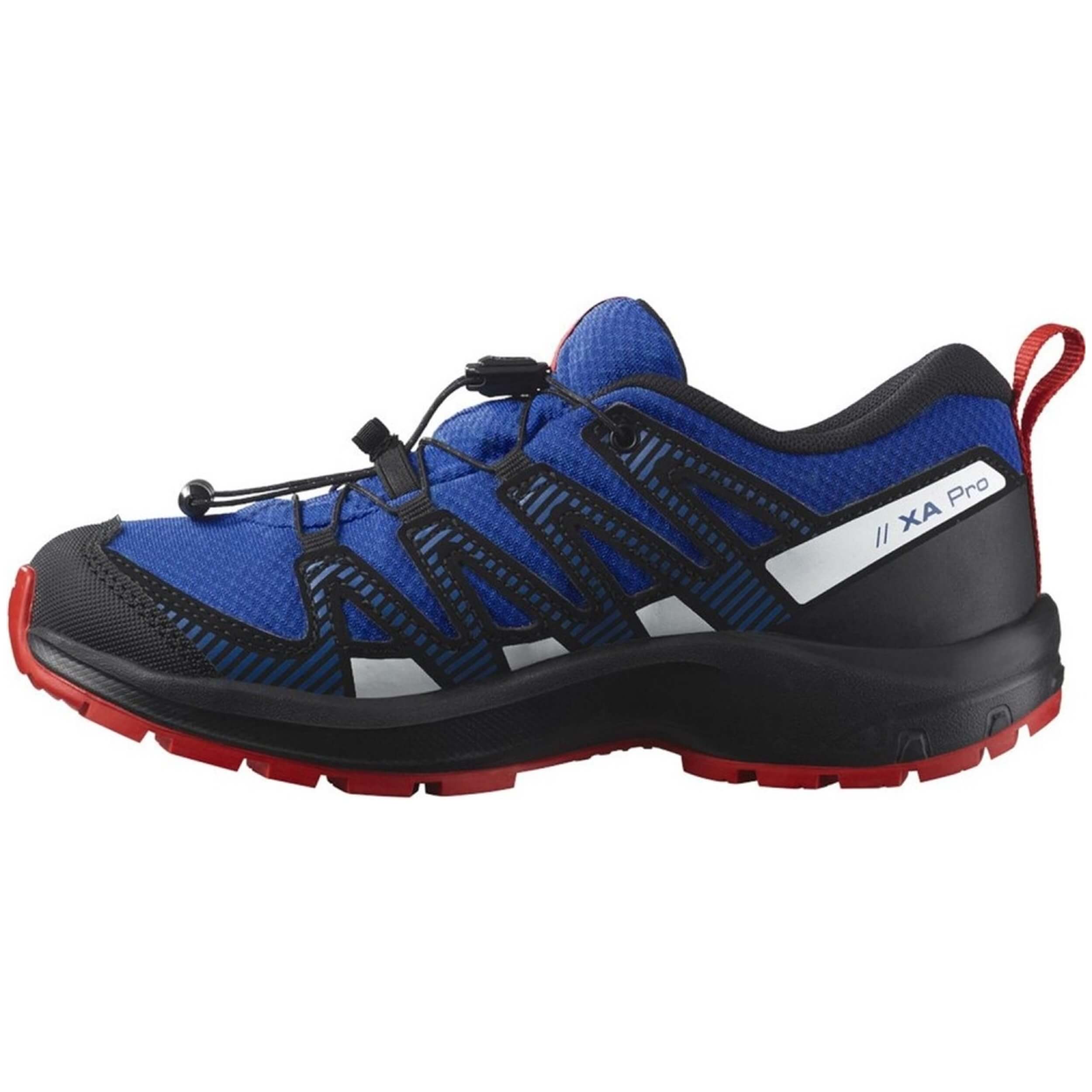 Zapatillas De Trekking Salomon Xa Pro V8 Cswp