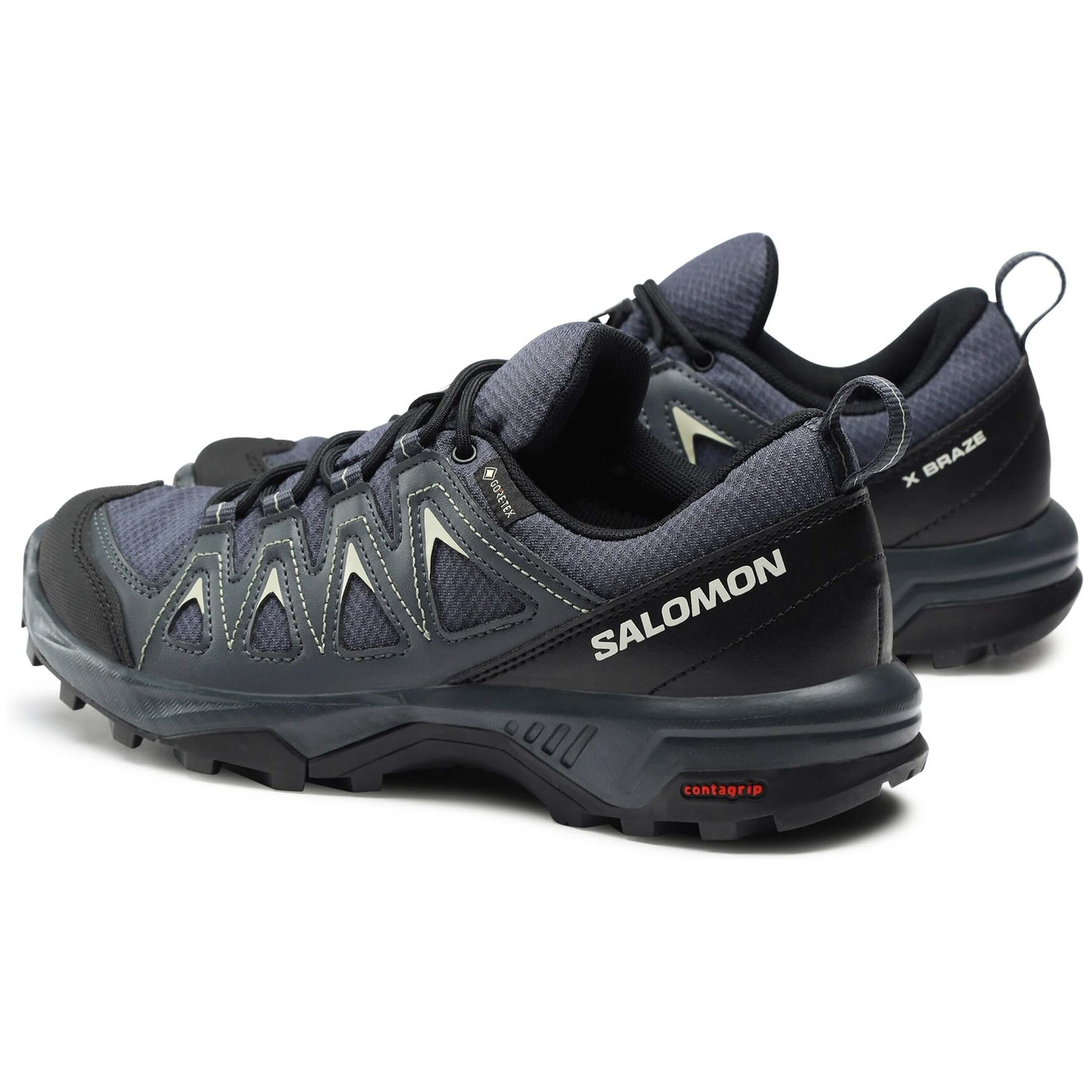 Salomon X Braze Gtx Shoes