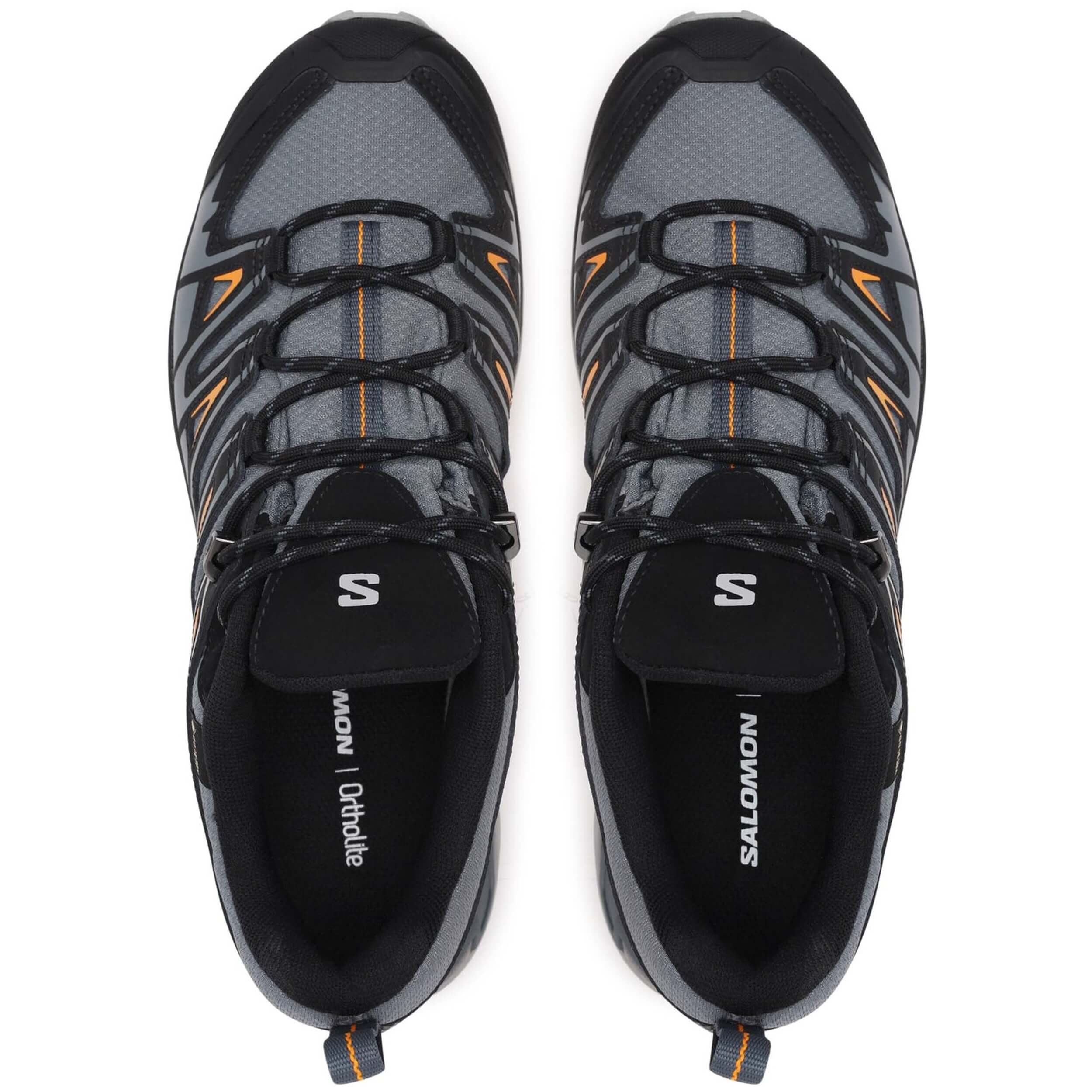 Zapatos De Montaña Salomon X Ultra Pioneer Gtx