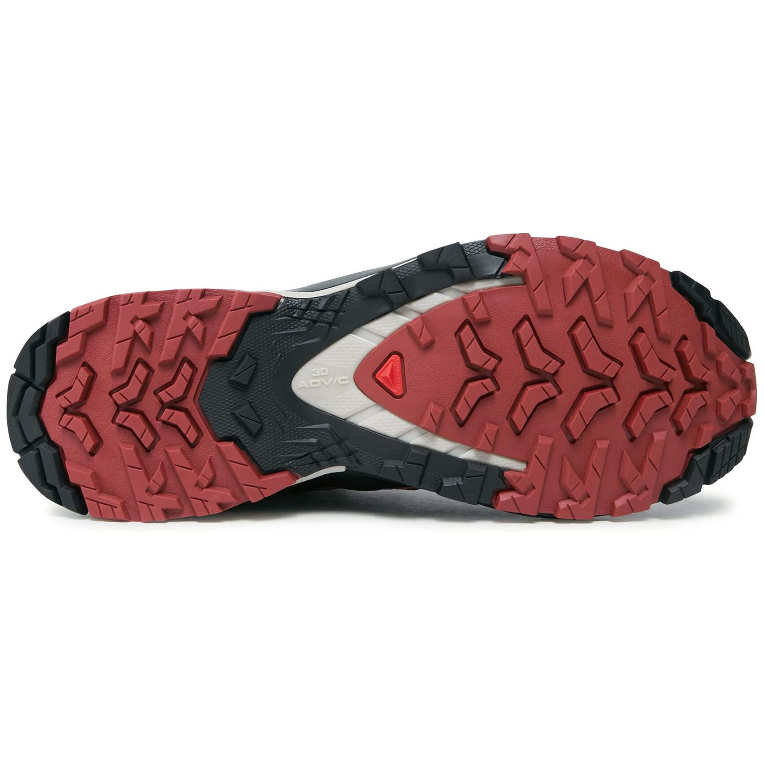 Zapatillas De Running Salomon Xa Pro 3D V9 Gtx