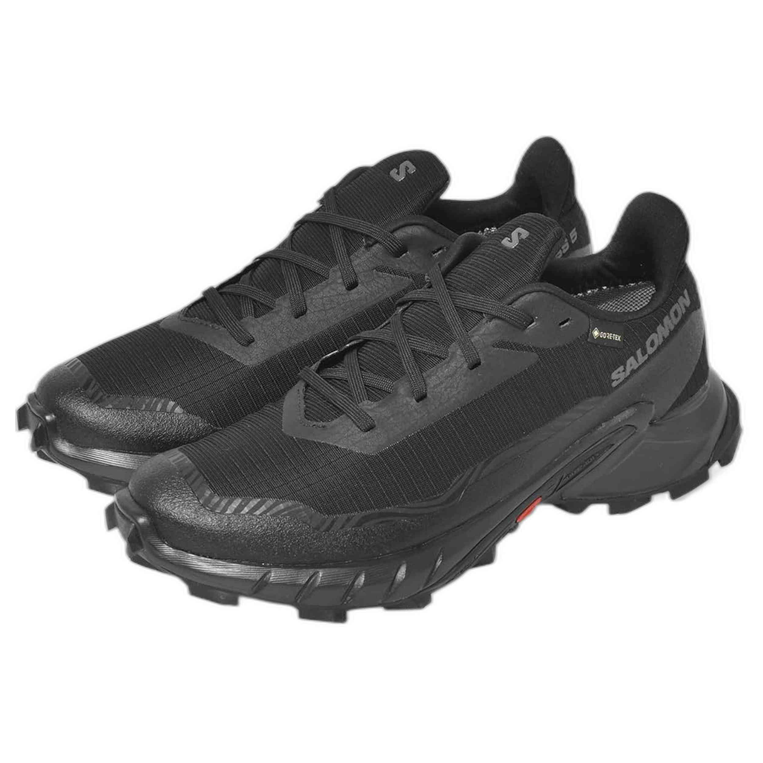 Zapatillas Salomon Alphacross 5 Gtx