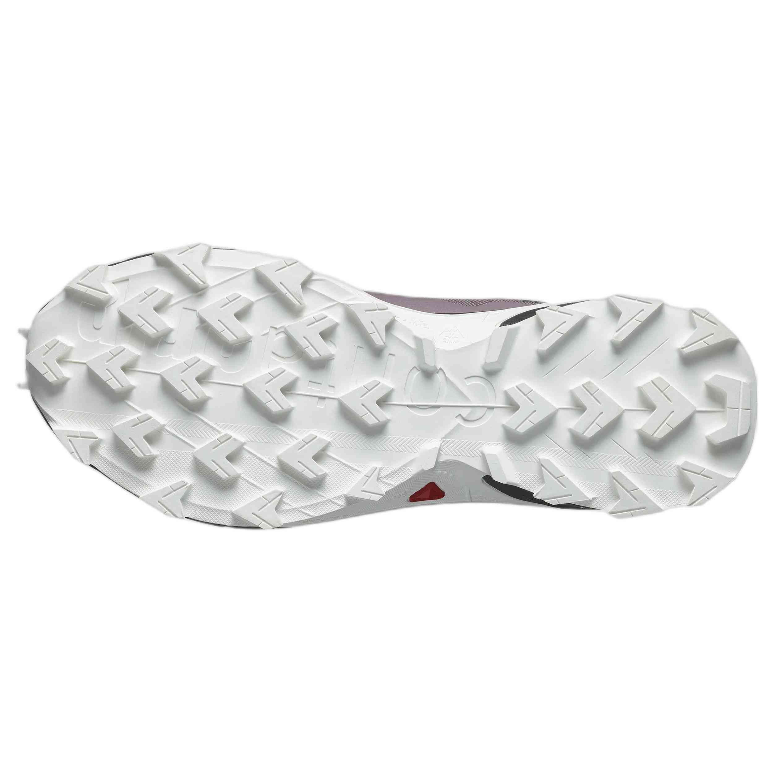  Salomon Alphacross 5 Gtx