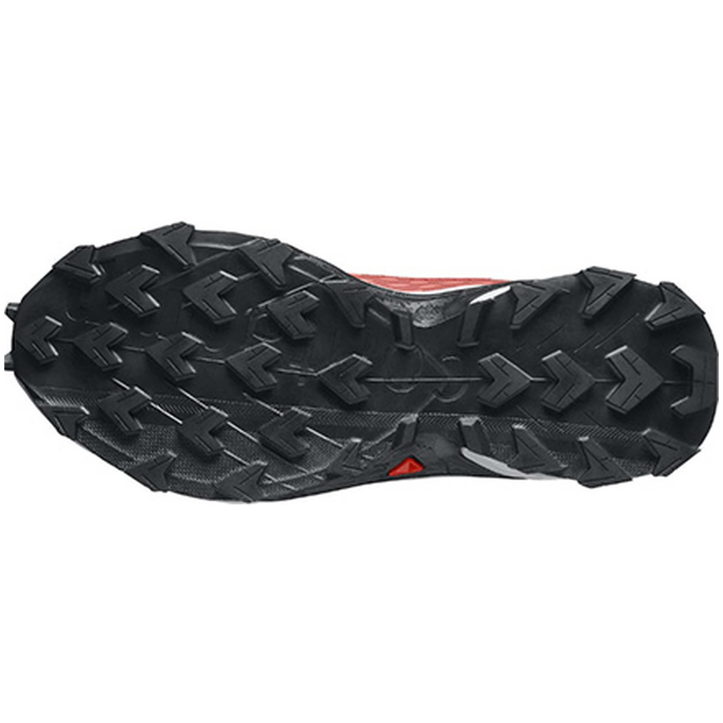 Zapatillas De Running Salomon Alphacross 5