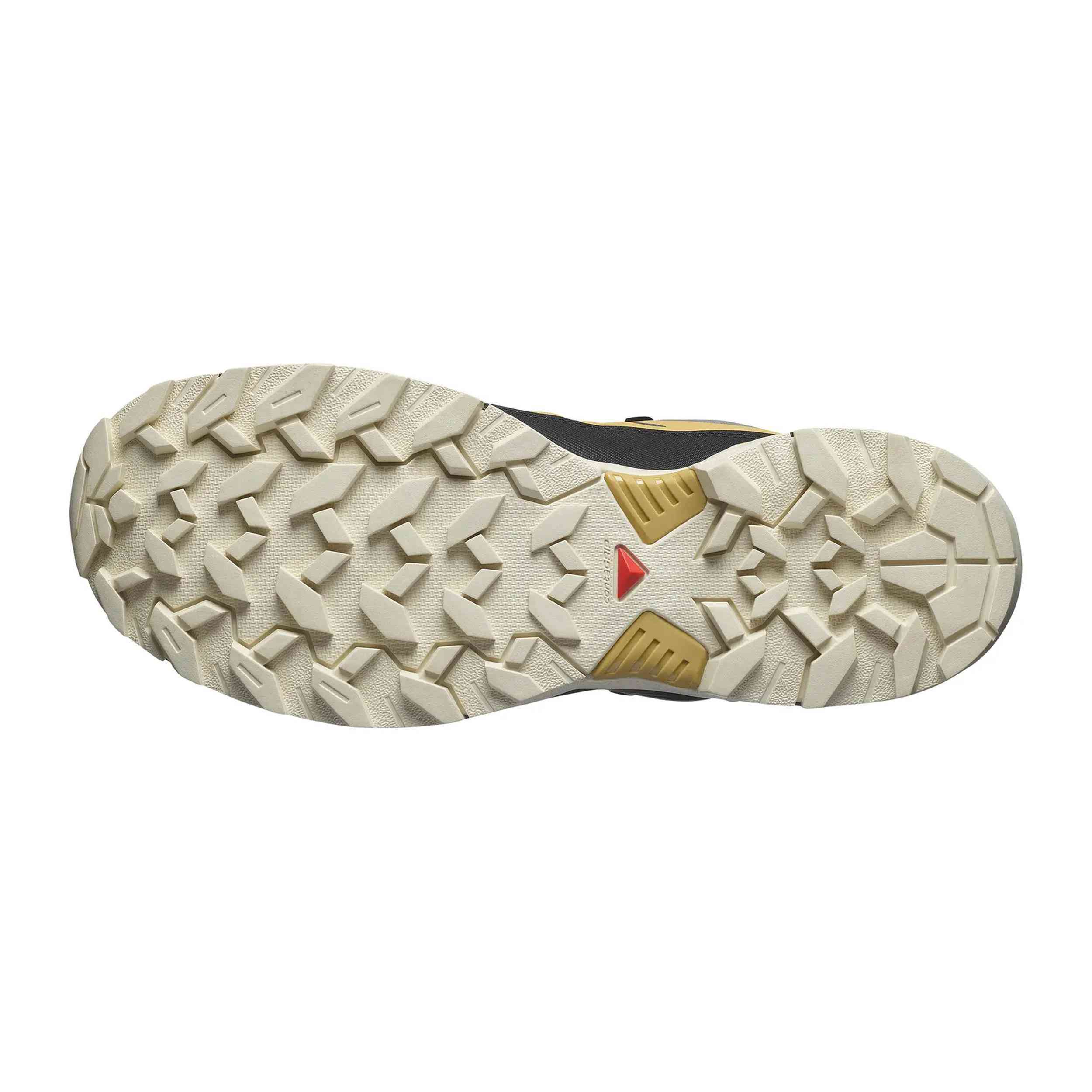 Zapatillas De Trekking Salomon X Ultra 360 Gtx