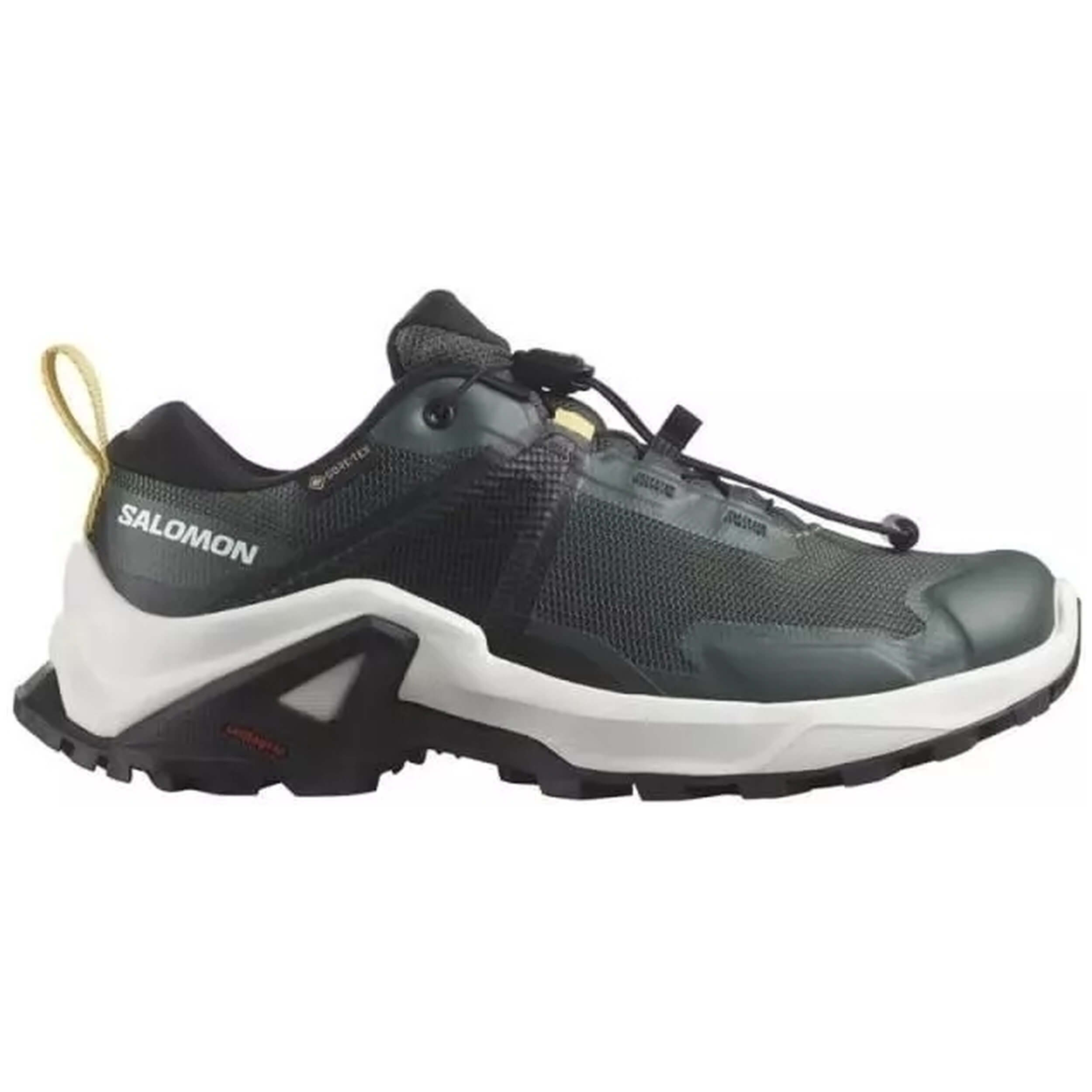 Zapatillas Salomon X Raise Mid Gtx