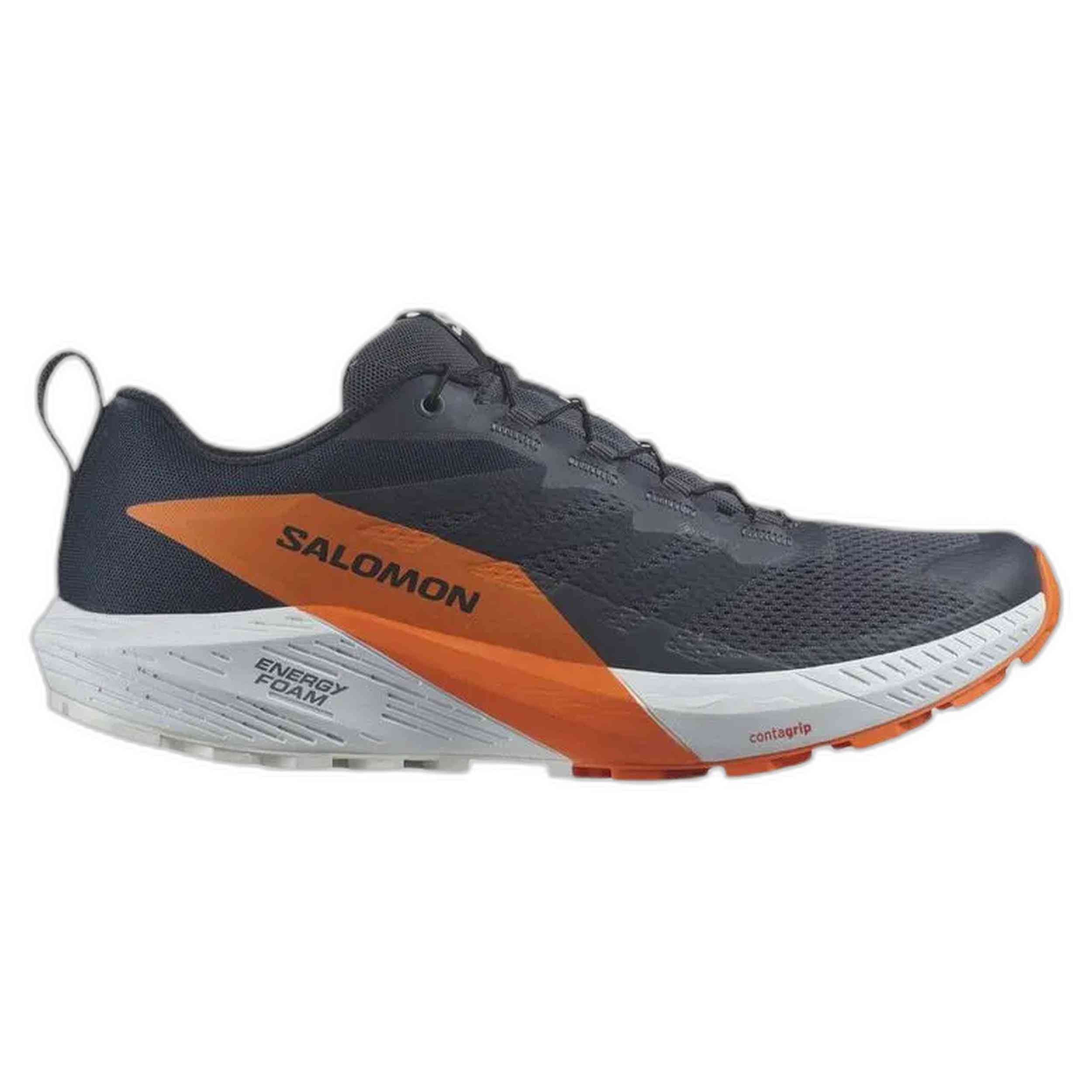 Zapatillas Salomon Sense Ride 5 Gtx