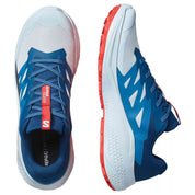 Zapatillas De Running Salomon Alphaglide