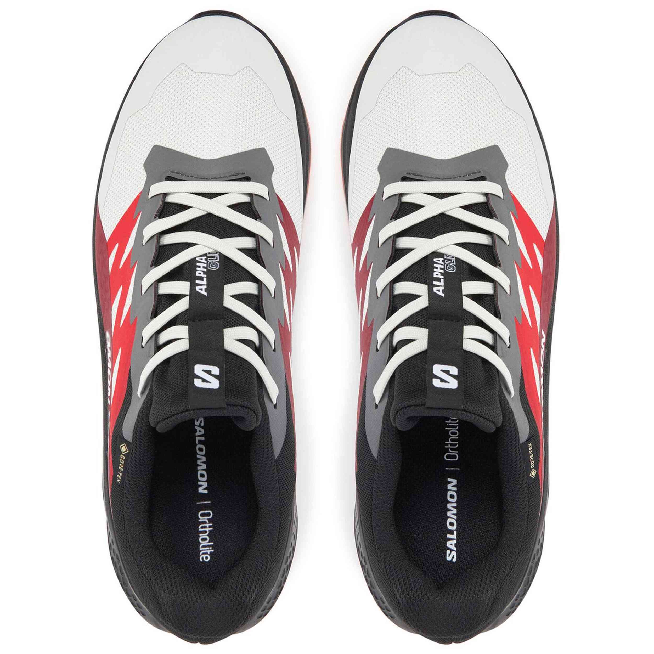 Zapatillas De Running Salomon Alphaglide Gtx