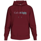 Sudadera Con Capucha Calvin Klein