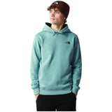The North Face Seasonal Drew Peak Hoodie
