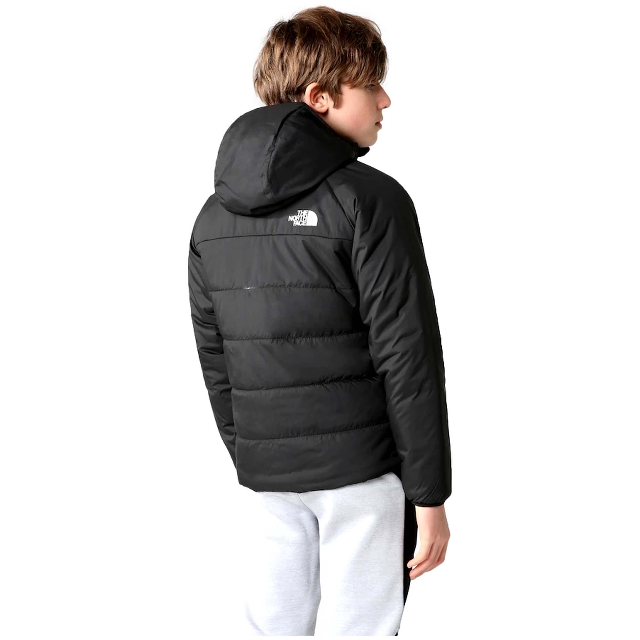 Chaqueta The North Face  