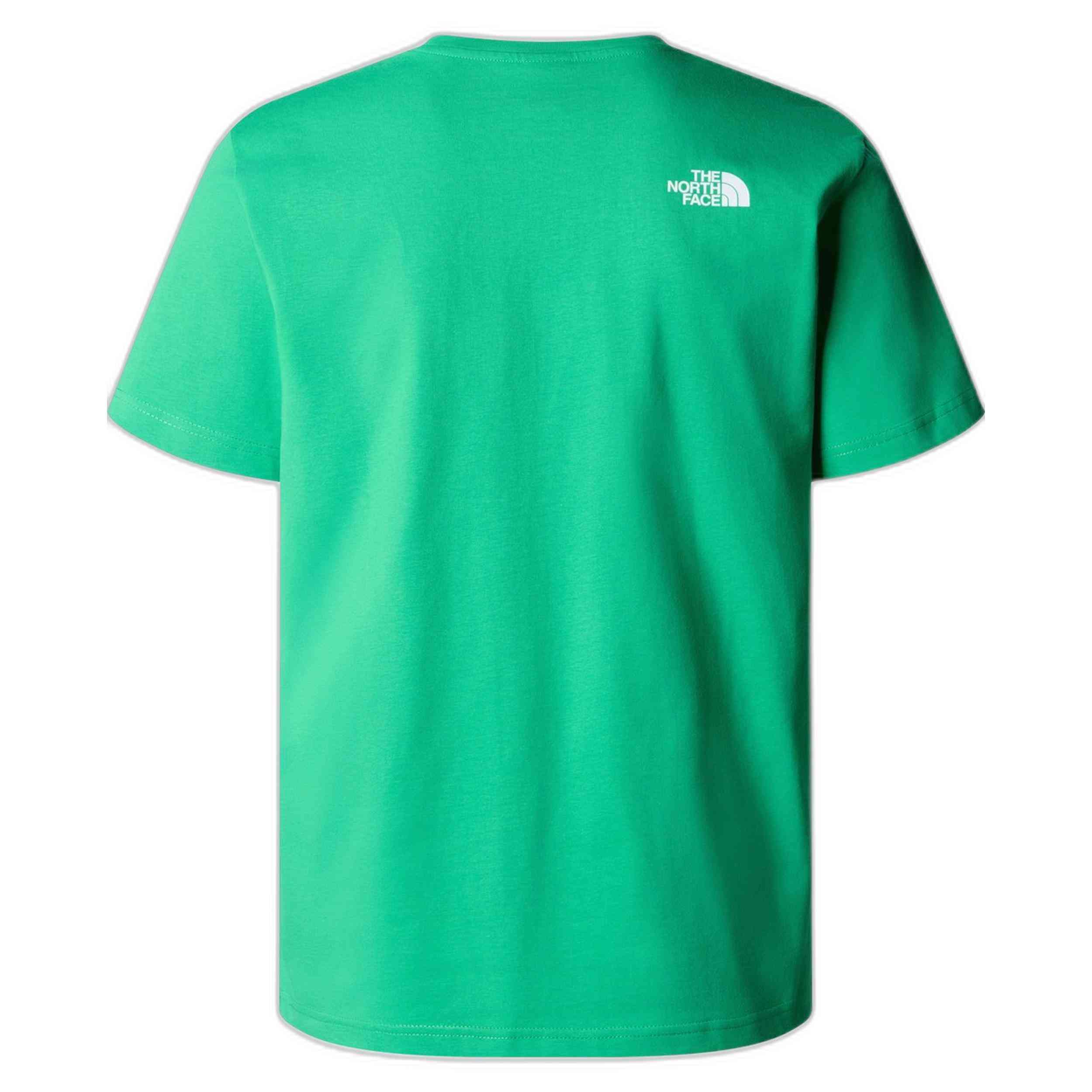 Camiseta De Manga Corta The North Face Mountain Play