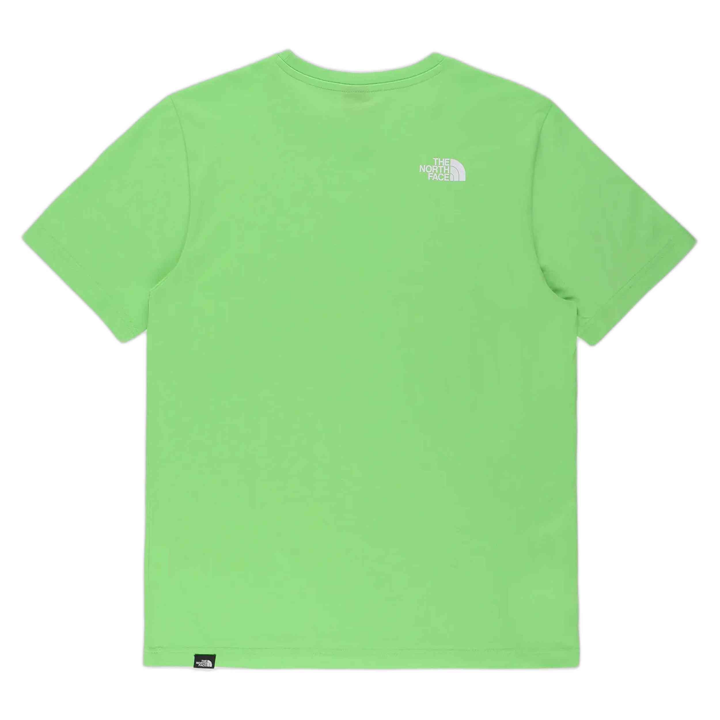 Camiseta De Manga Corta The North Face Nf0A87Ng6Ii1