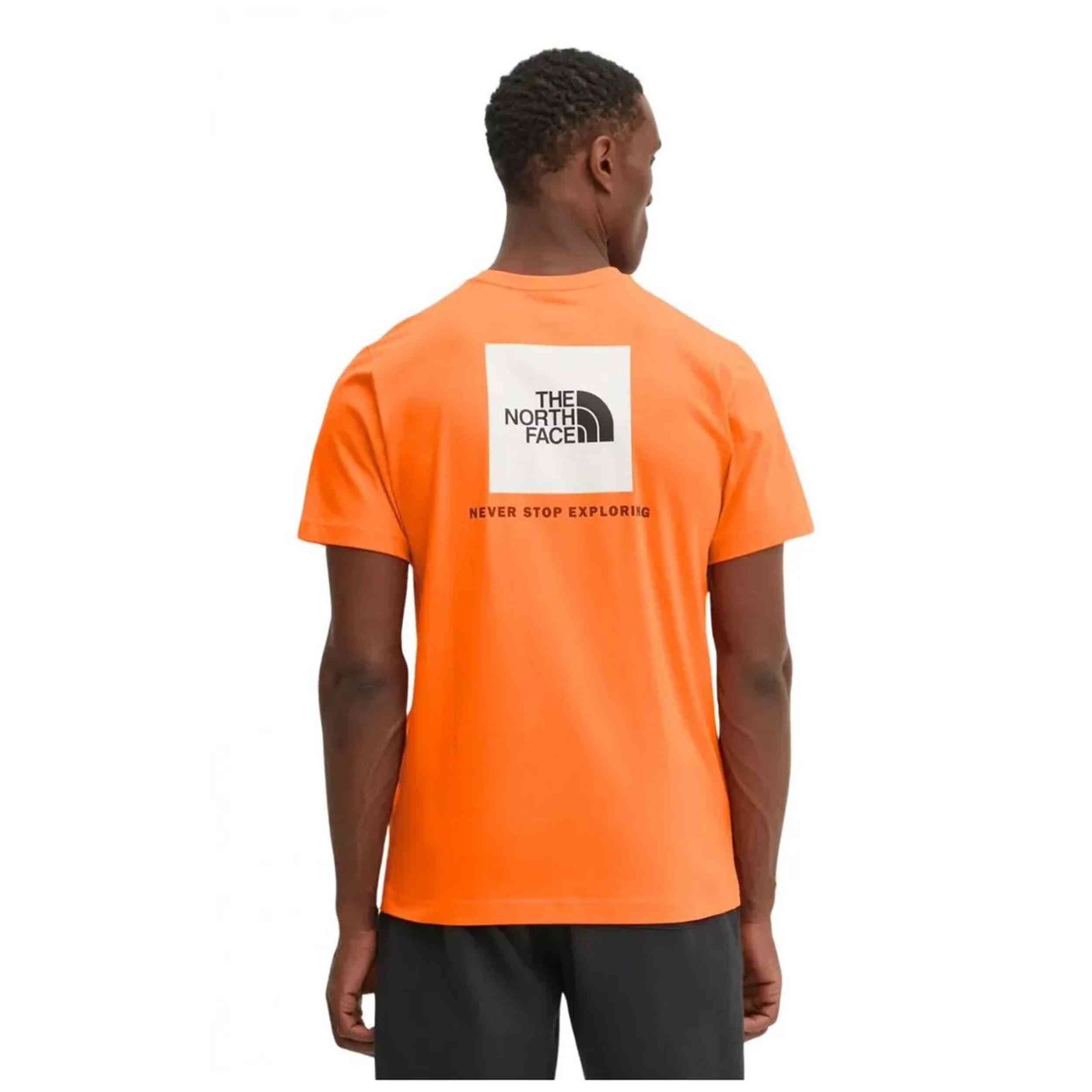 Camiseta De Manga Corta The North Face Nf0A87Npaqe1
