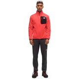 Polar The North Face Crest