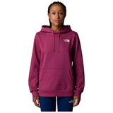 Sudadera Con Capucha The North Face