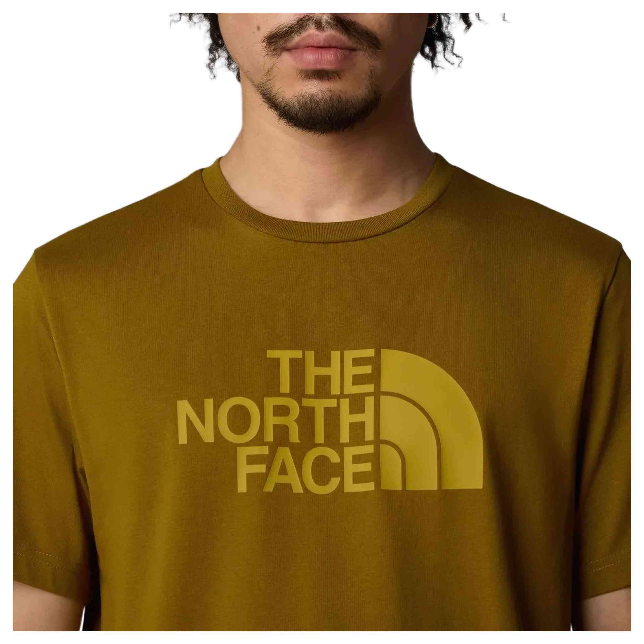 Camiseta De Manga Corta The North Face Nf0A8A6C4Xi1