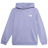 Sudadera Con Capucha The North Face Evolution Box Nse