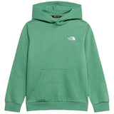 Sudadera Con Capucha The North Face Evolution Simple Dome