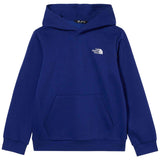 Sudadera Con Capucha The North Face Evolution Simple Dome