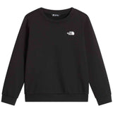 Sudadera The North Face Evolution Simple Dome