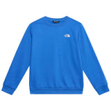 Sudadera The North Face Evolution Simple Dome