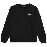 Sudadera The North Face Evolution Box Nse