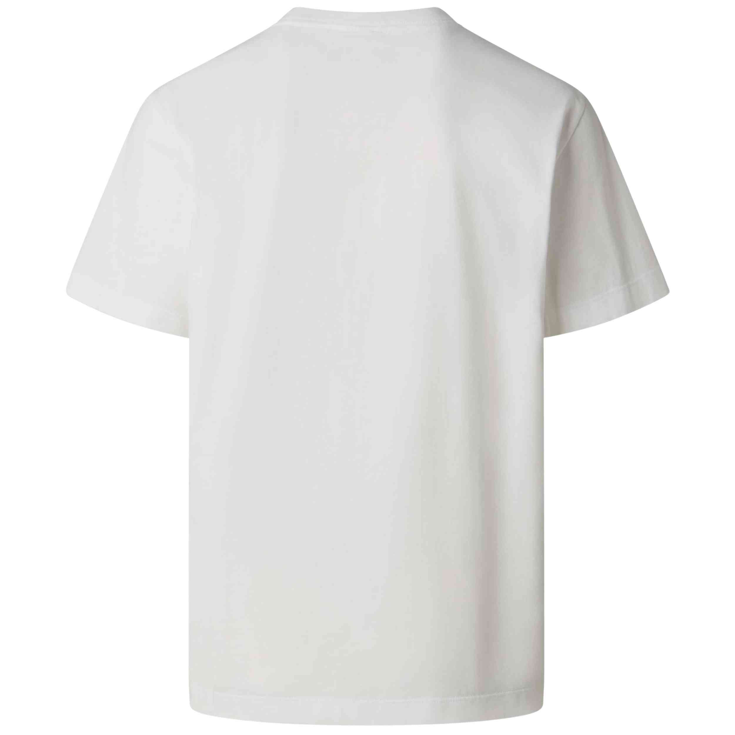 Imagen del producto con referencia NF0A8GQE-FN4