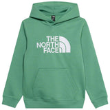 Sudadera Con Capucha The North Face Essential Drew Peak