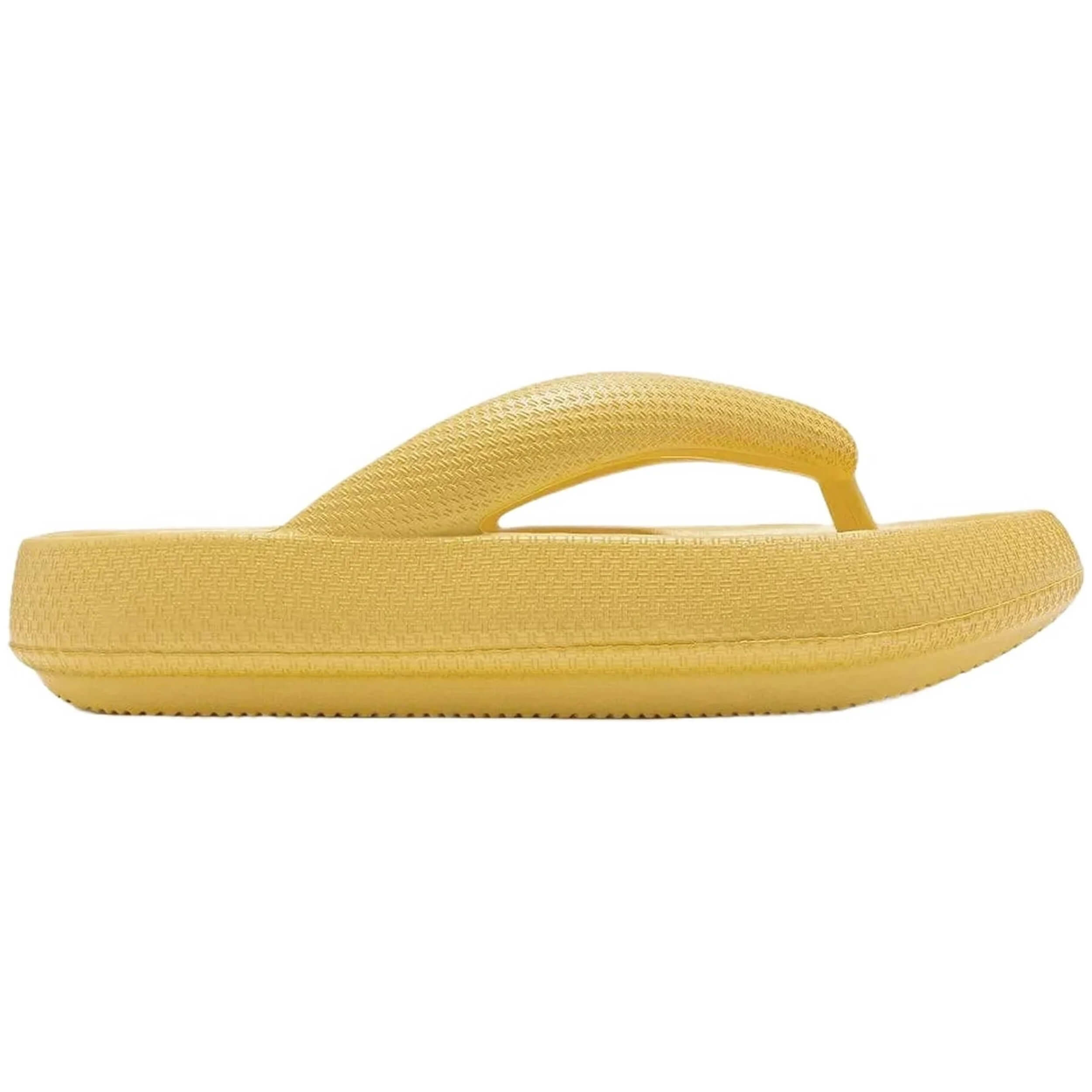 Chanclas D.Franklin Bloomer Nip