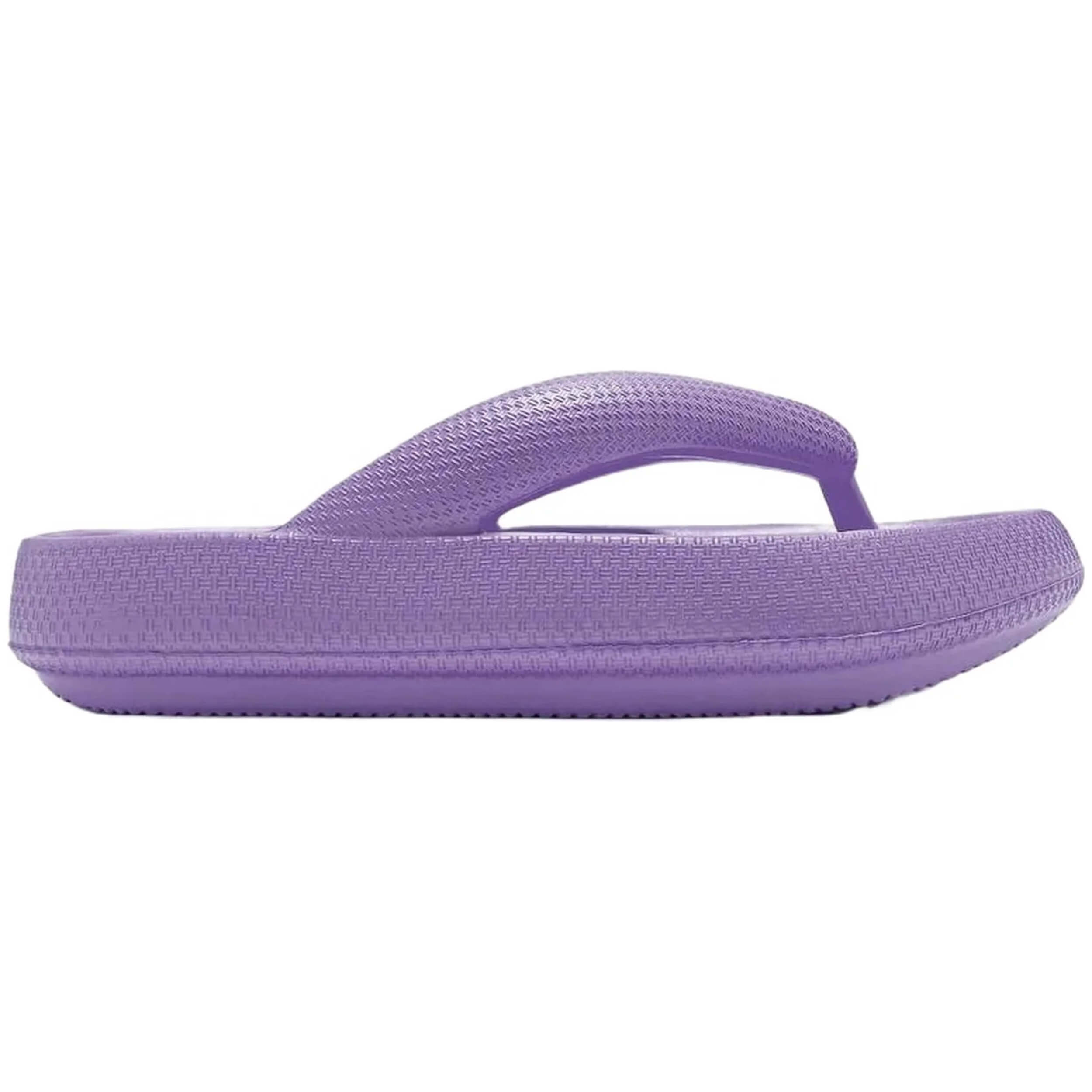 Chanclas D.Franklin Bloomer Nip