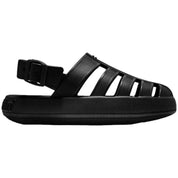 Chanclas D.Franklin Bloomer Bs