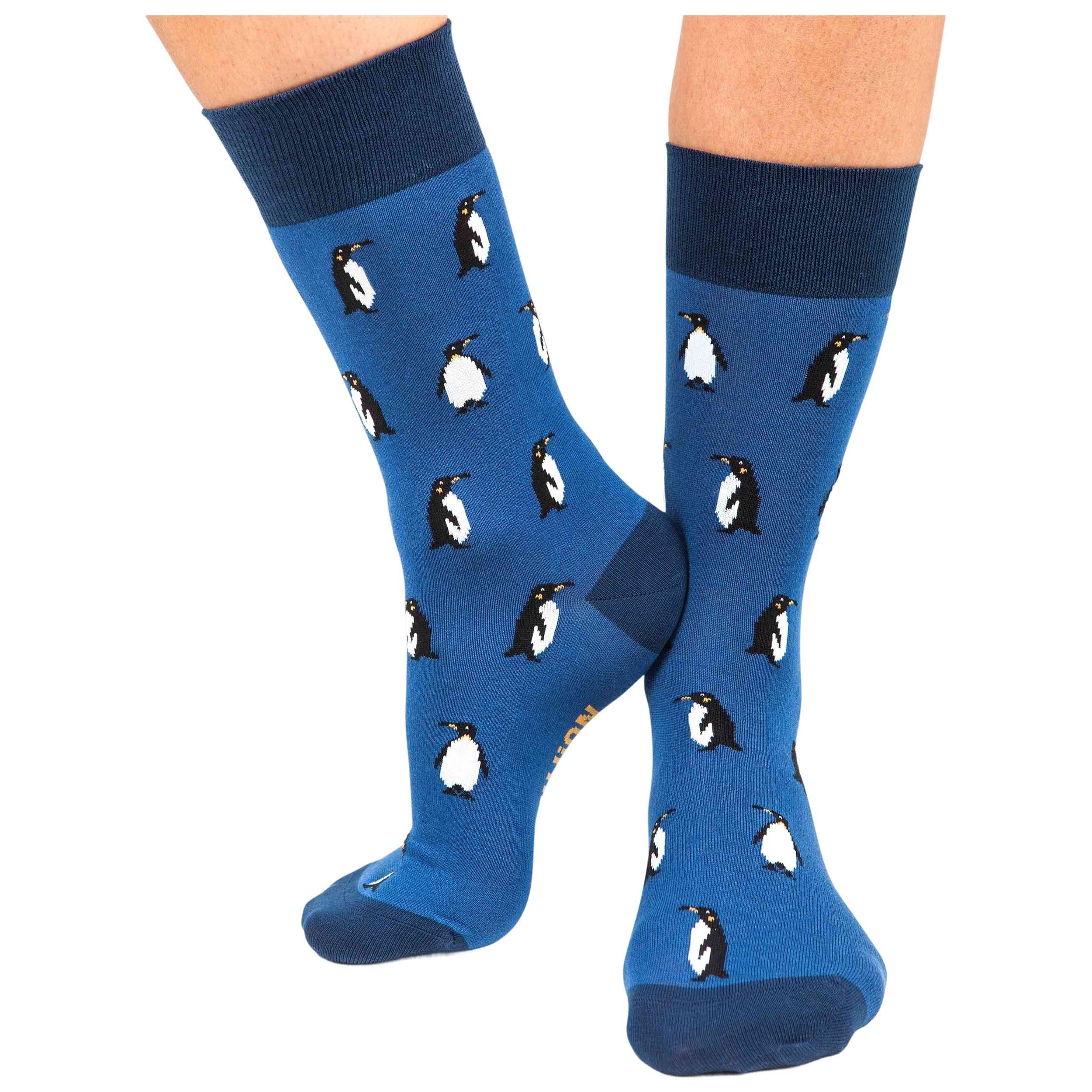 Imagen del producto con referencia PENGUIN1-BLUE