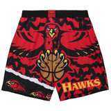 Pantalon Corto Mitchell & Ness
