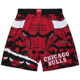 Pantalon Corto Mitchell & Ness