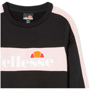 Sudadera Con Capucha Ellesse S2G09682