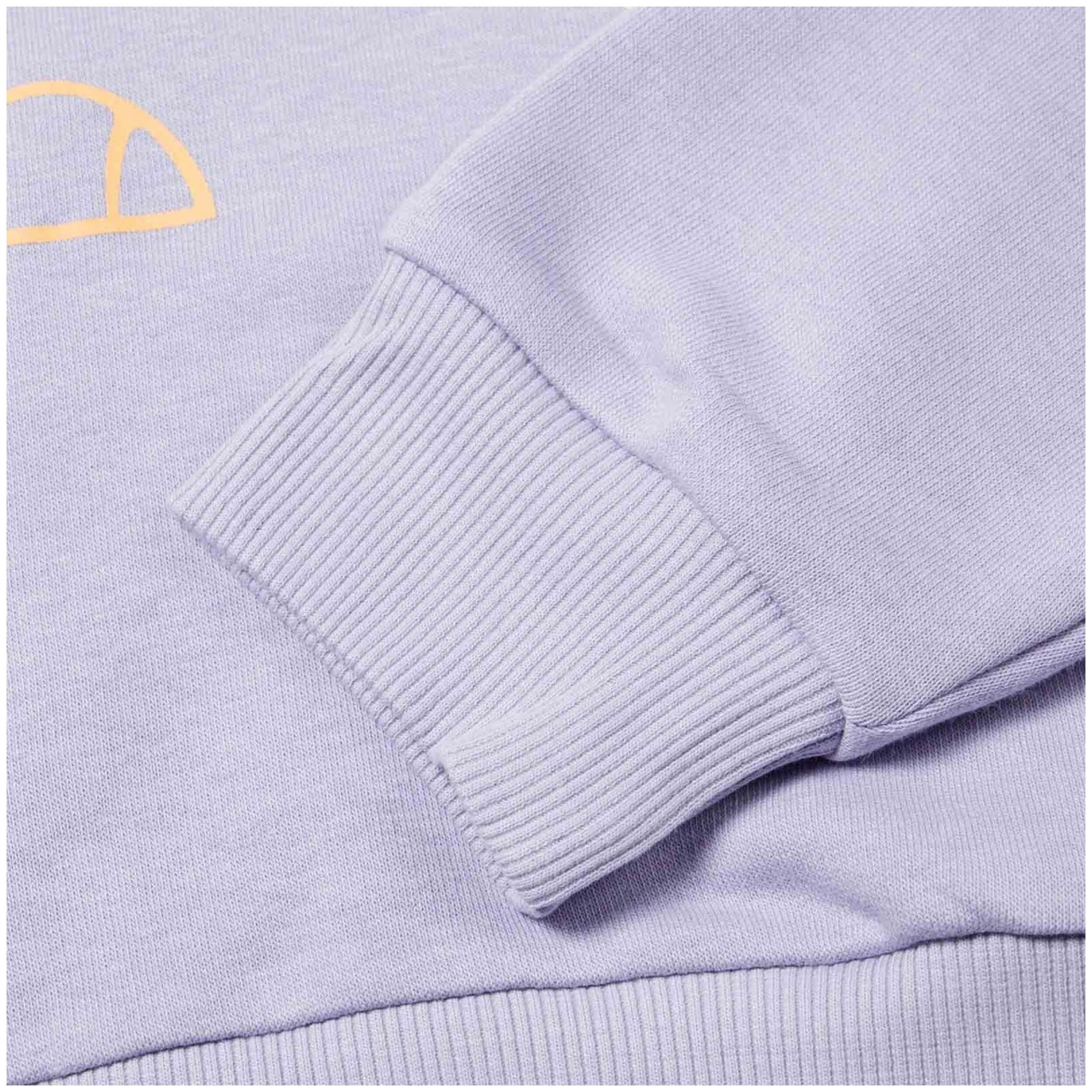 Sudadera Con Capucha Ellesse  