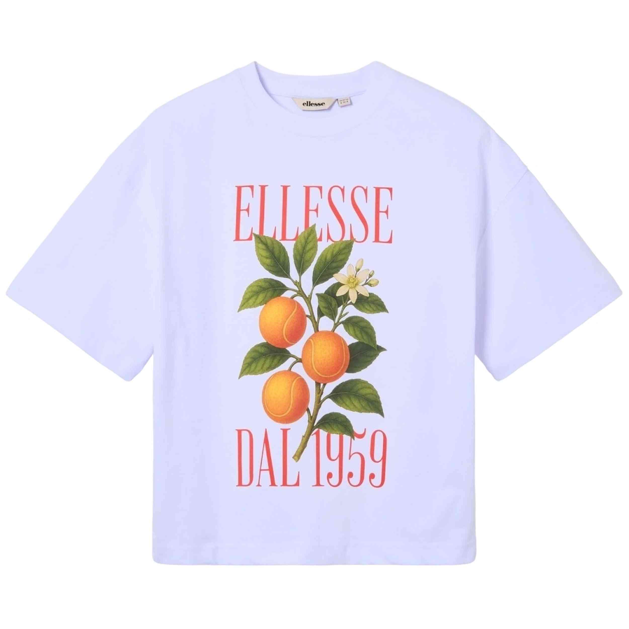Imagen del producto con referencia SGD24409