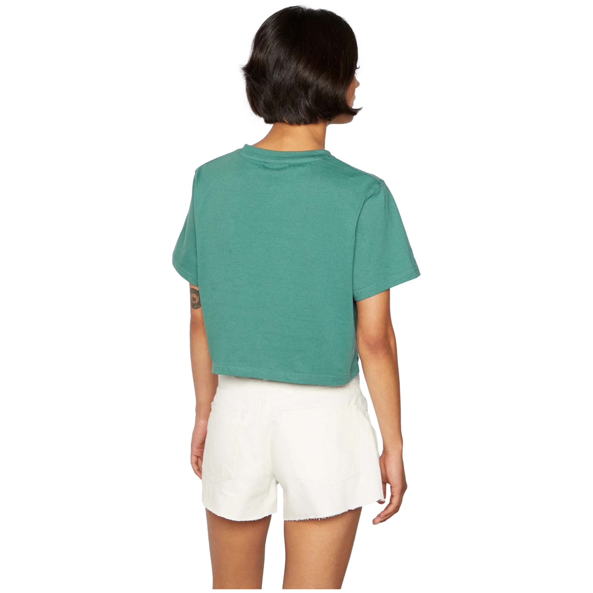 Imagen del producto con referencia SGP15916-GREEN