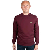  Lacoste Sh960800Bzd