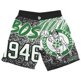 Pantalon Corto Mitchell & Ness