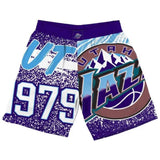 Pantalon Corto Mitchell & Ness