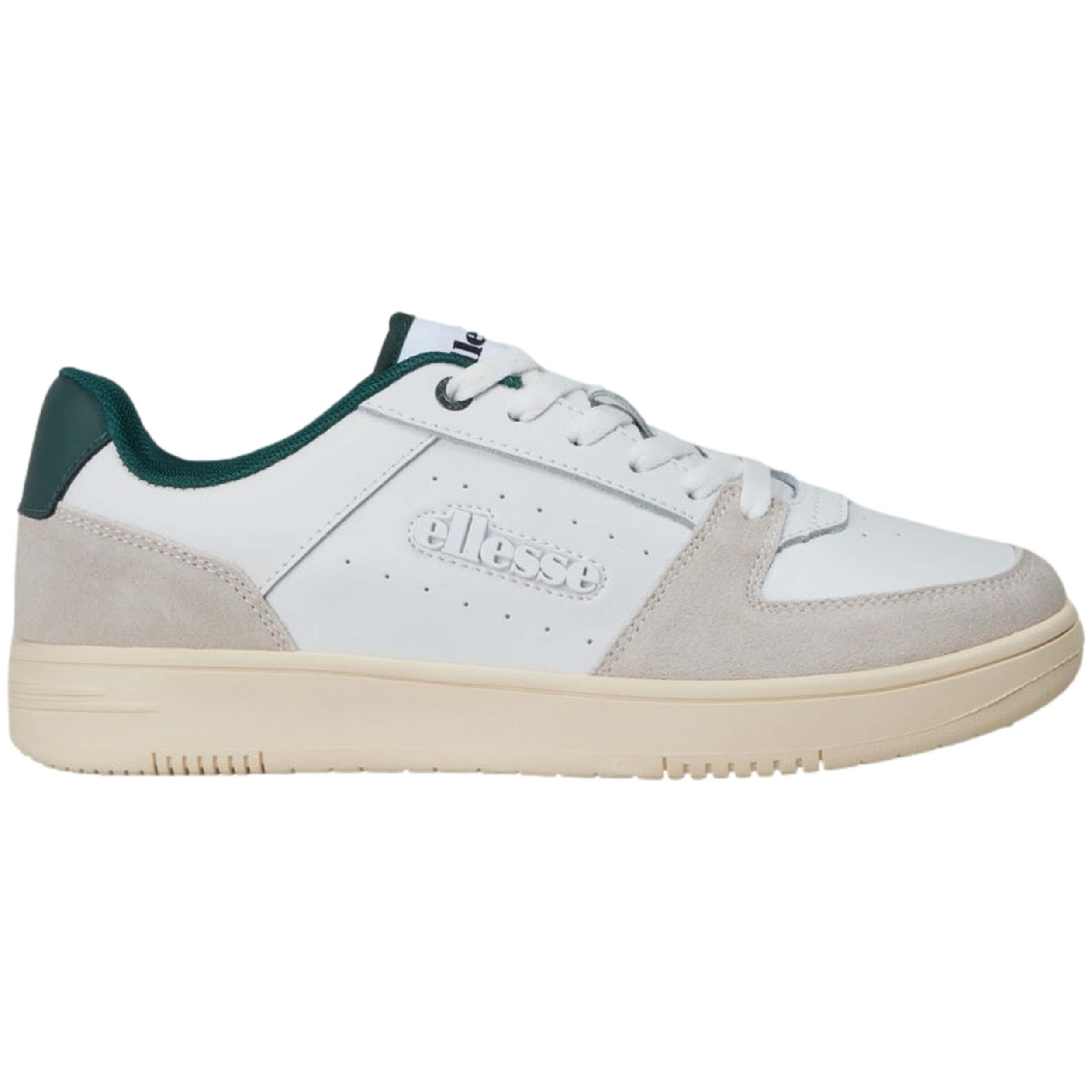 Imagen del producto con referencia SHTF0703-GREEN