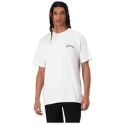Imagen del producto con referencia SHZ21847-BLANCO
