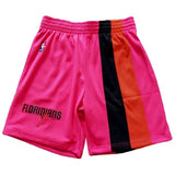 Pantalon Corto Mitchell & Ness